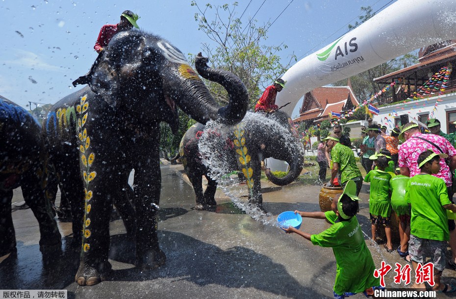 泰国泼水节庆新年 大象成"水枪"