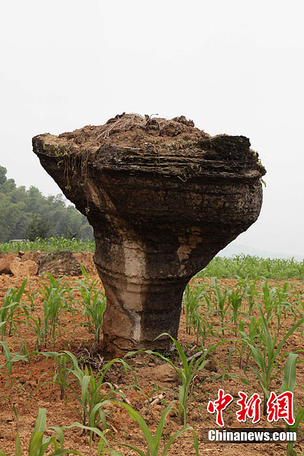 �Ĵ��������ֿ�˹�ص�ò����