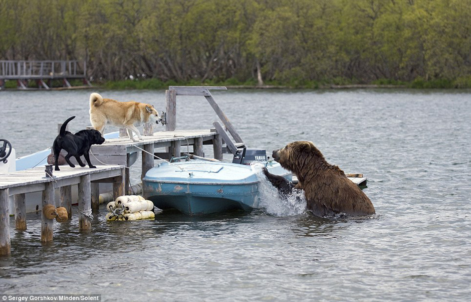 ����˹СС���ҹ����ܴ�����