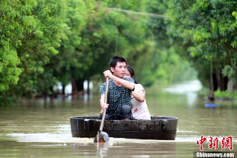 ����������ɨ�㱱 ����ľ�ƽ������