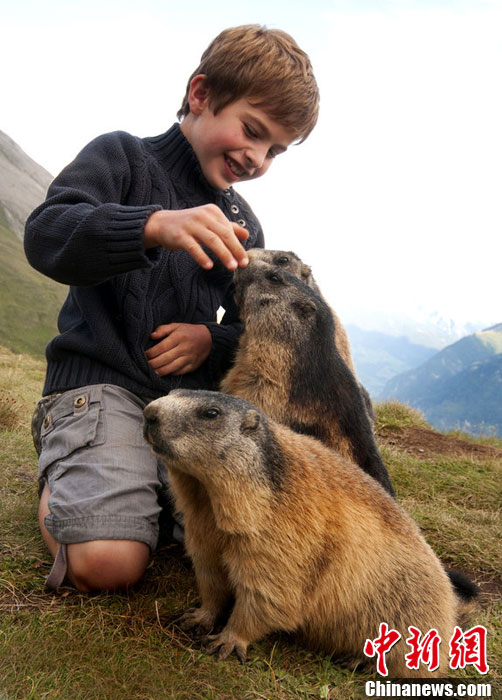 8岁男孩和土拨鼠成为好友