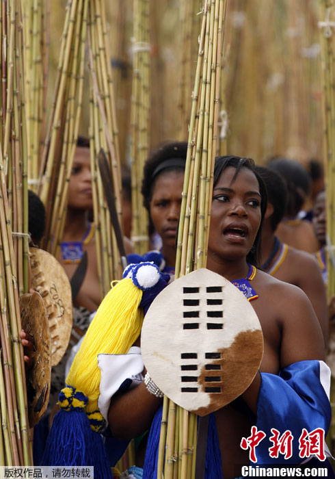 斯威士兰少女半裸参加国王选妃大会46