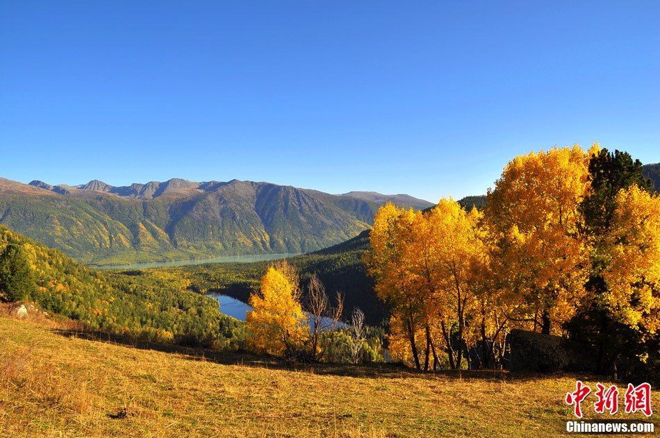 新疆北部阿尔泰地区秋景醉人
