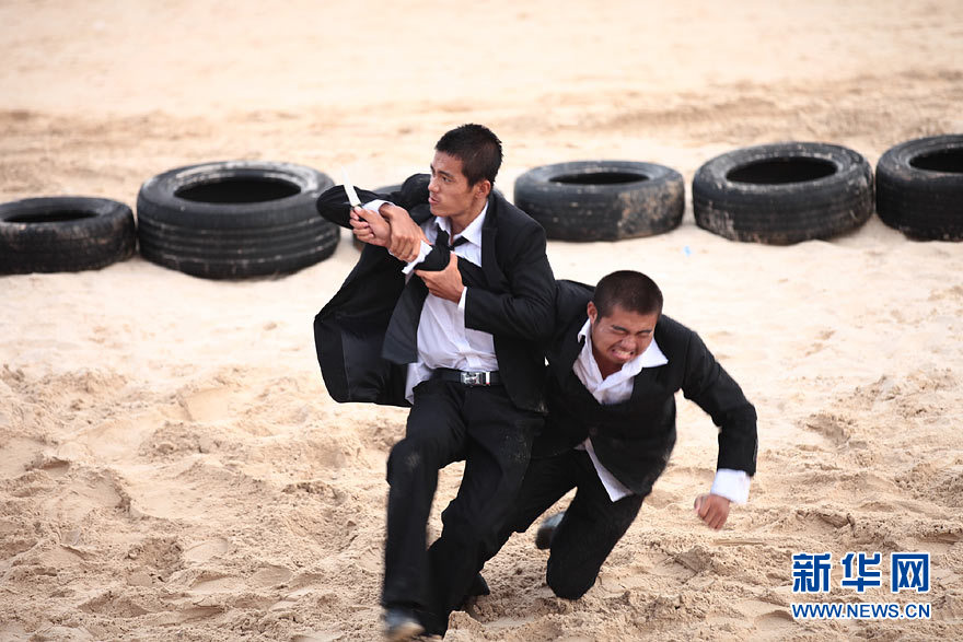 探秘中国天骄特卫:"瞄准"海外安保市场 (12/16)