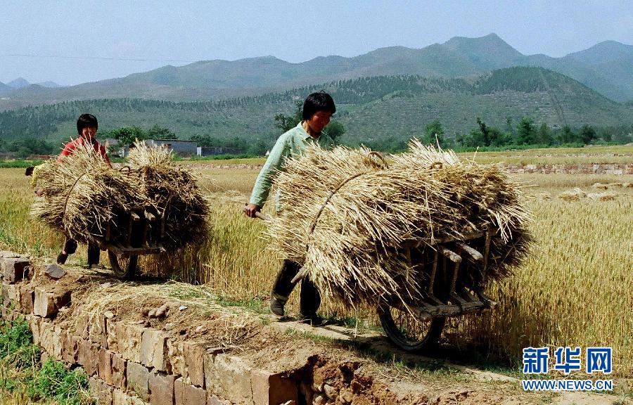 图说中国人的出行与生活——独轮车