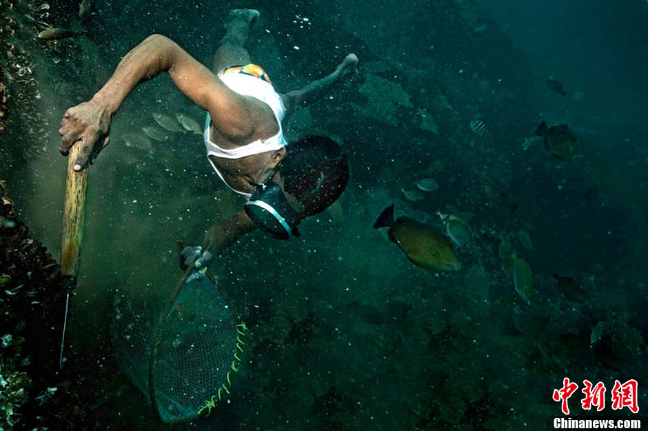 摄影师水下拍摄印度渔民潜水捕捞精彩画面