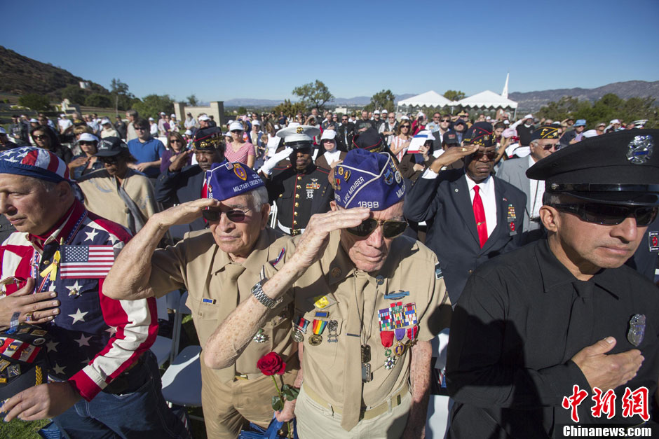 美国举行退伍军人节纪念活动