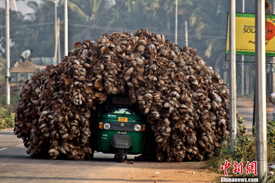 高手隐于市 世界各地超载大比拼