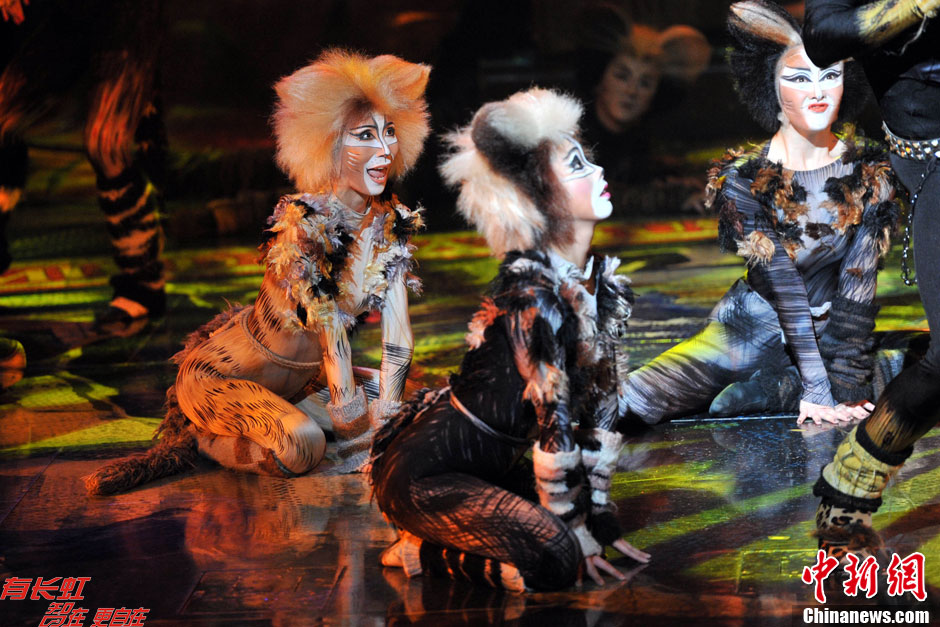 百老汇音乐剧猫中文版抵京亮相尽显东方俏皮