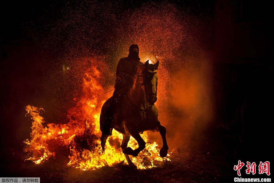 西班牙勇士骑马穿烈焰 庆祝圣安东尼节