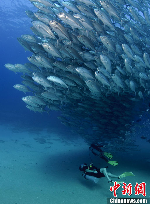 514_700竖版 竖屏