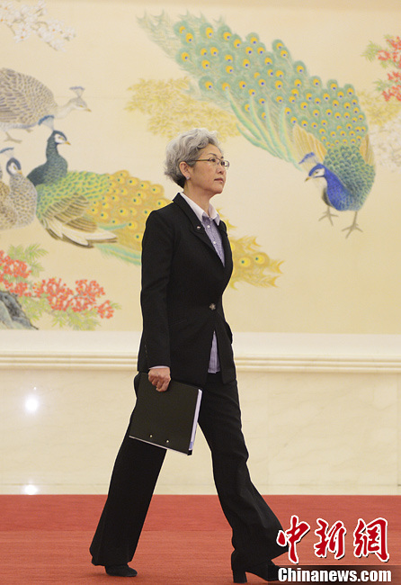 傅莹参加总理记者会