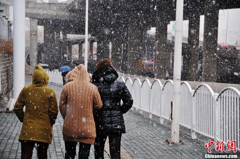 新疆乌鲁木齐春降鹅毛大雪 (2/5)