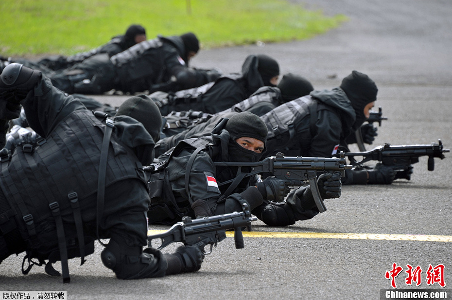 印尼举行阅兵式庆祝空军成立67周年