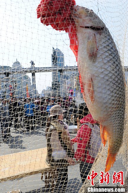 千年习俗 珍稀鱼种齐现松花江开江节