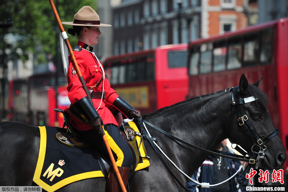 图刊都市女骑警