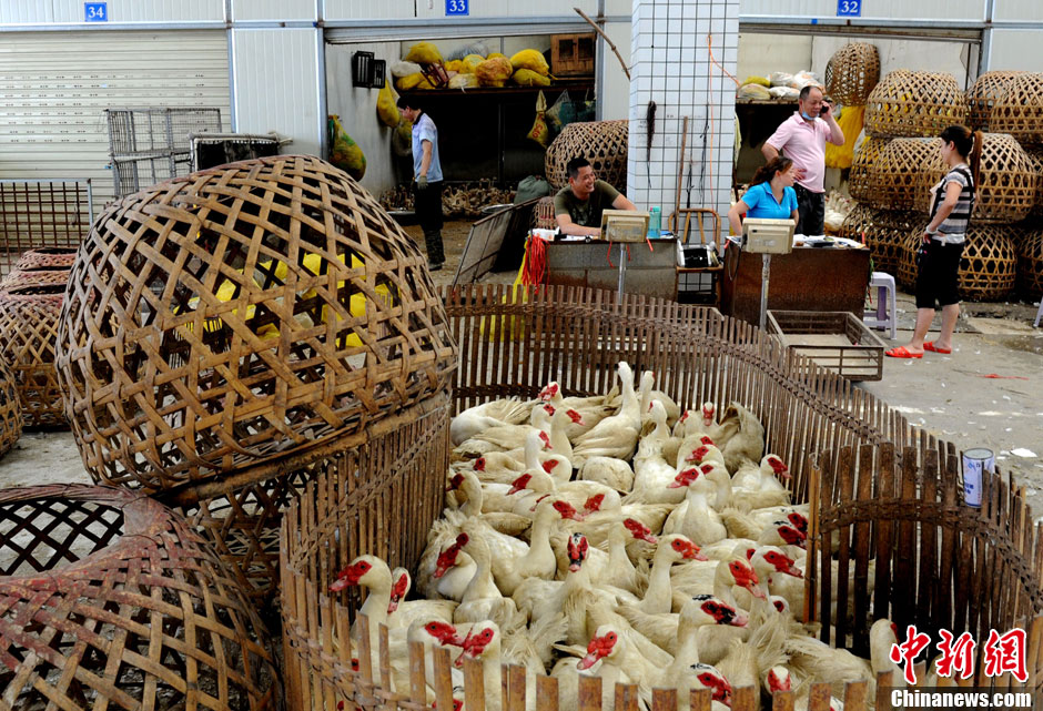 福州海峡家禽批发市场重新开门营业