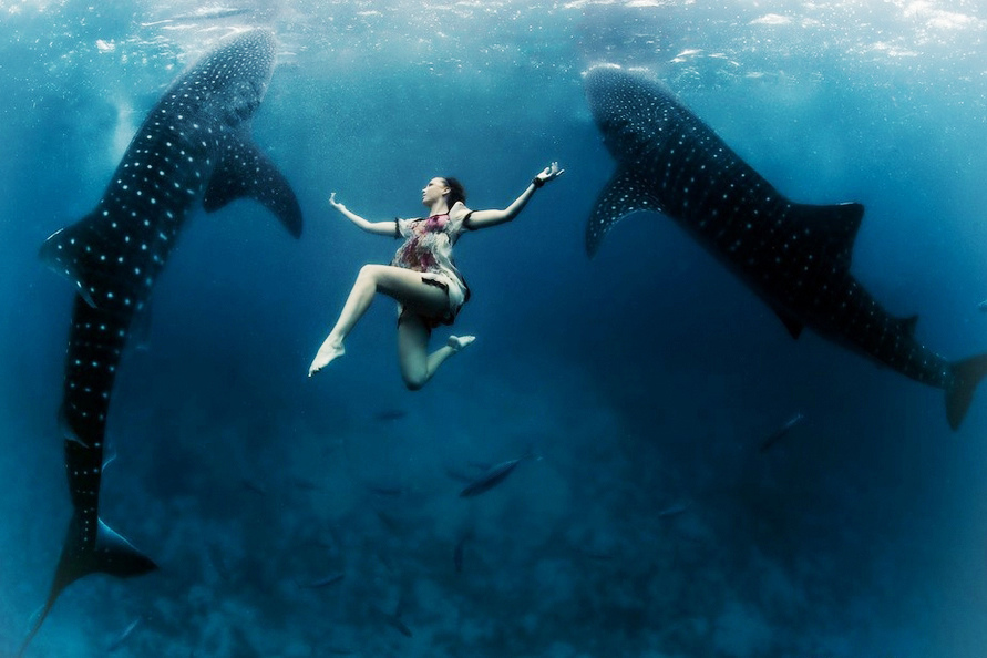 美女与鲸鲨海底共舞 视觉震撼仿佛走进科幻大片