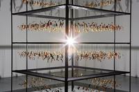 韩国艺术家借光影将肢解人体做成完整春宫图