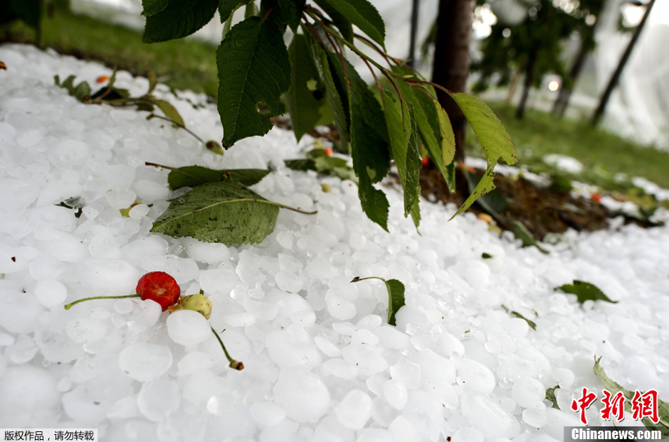 瑞士西部遭遇暴风雨夹杂大量冰雹