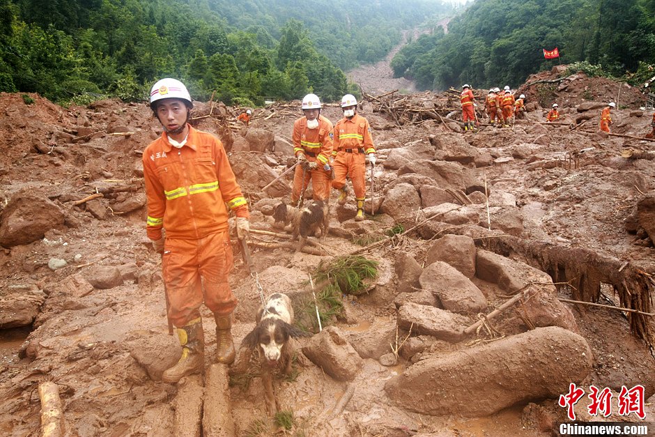 都江堰泥石流:消防官兵用搜救犬全力遇难及失踪人员