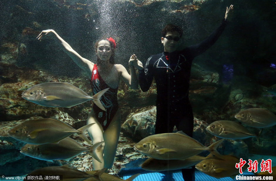 韩花样游泳演员水下大跳激情探戈 群鱼游曳"伴舞"