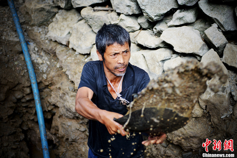 久旱无雨湖南沅陵万亩粮田盼甘霖