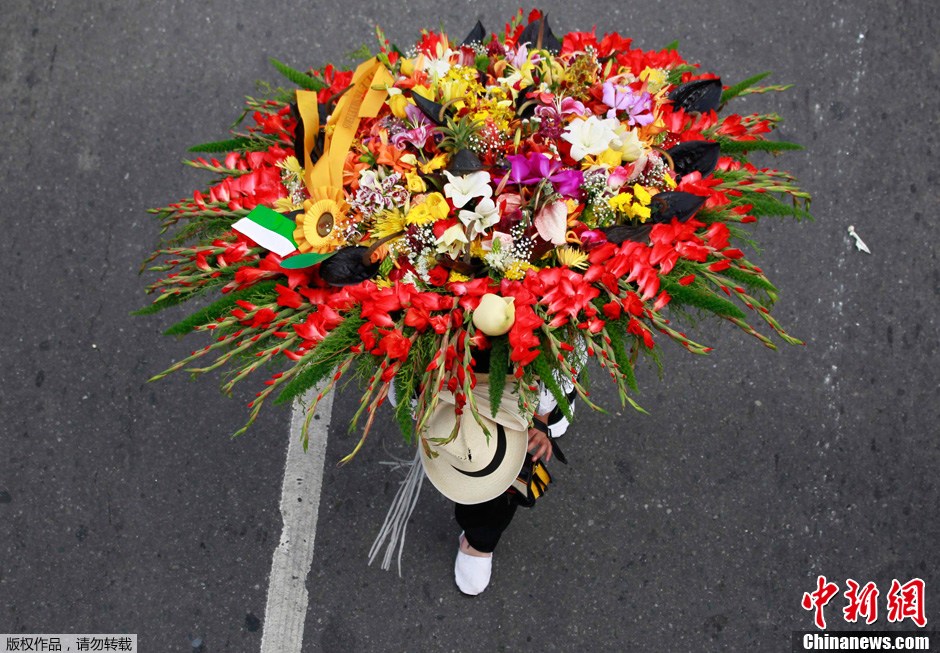 哥伦比亚鲜花节上演背花人游行