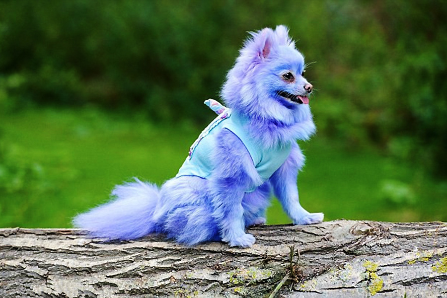 你相信通过染色会改变性格么?