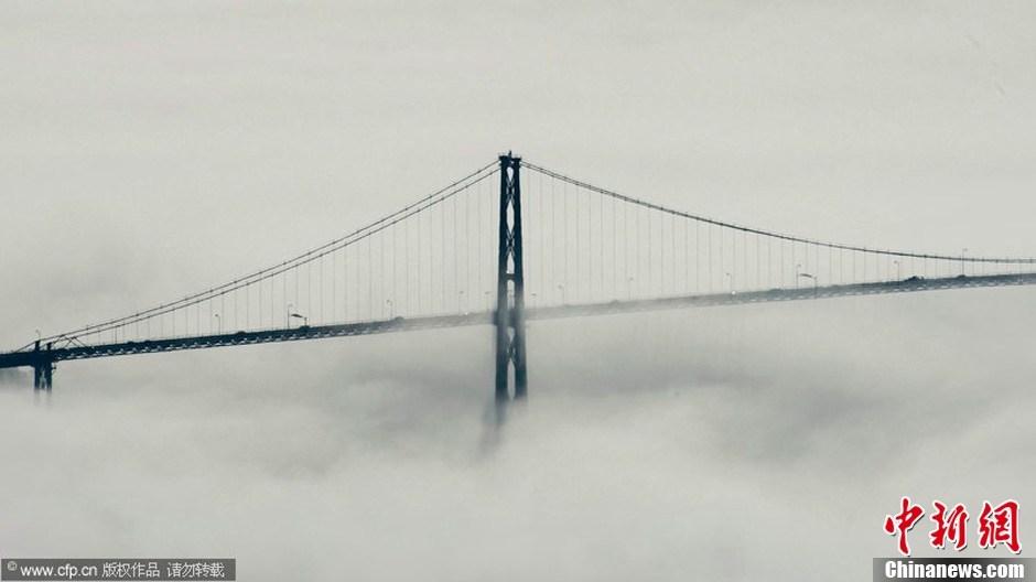 加拿大温哥华遭浓雾袭击 宛如"云中城"