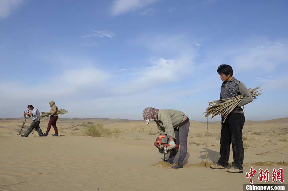 内蒙古鄂尔多斯治理风沙