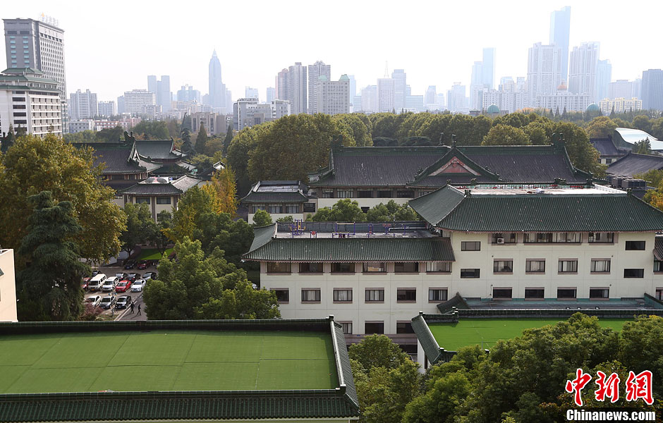 南京市委市政府明年起对公众开放