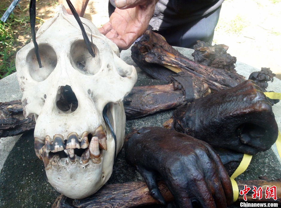 两名印尼男子捕获红毛猩猩后将其吃掉已遭逮捕