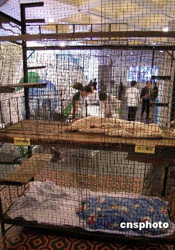 图:香港市区重建展览再现 "笼屋"