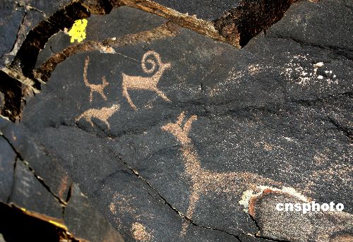 图:新疆发现阿尔泰山古岩画群