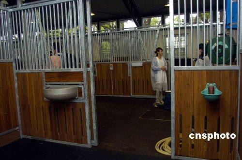 组图:香港奥运马房首次开放允许传媒采访