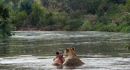 理查德森与母狮在河水中一起游泳