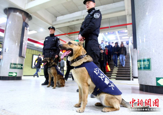 北京警方出动警犬队加大对地铁安全巡查力度确保地铁安全.timl/cfp