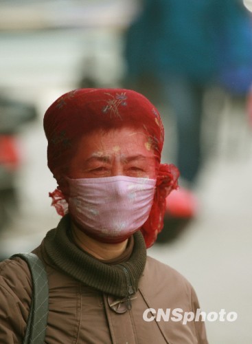 组图:沈阳出现大风扬沙天气 (3)