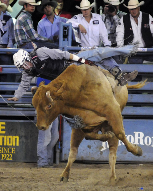 刺激的骑牛大赛,各路驯牛勇士各显身手,希望能够征服这些狂野的莽牛