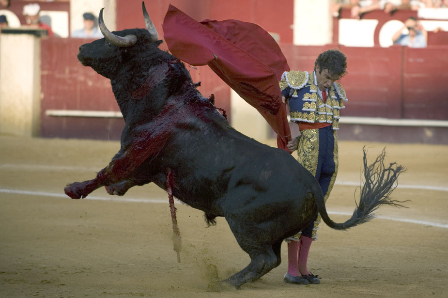 疯狂刺激的斗牛大赛 斗牛勇士命悬一线