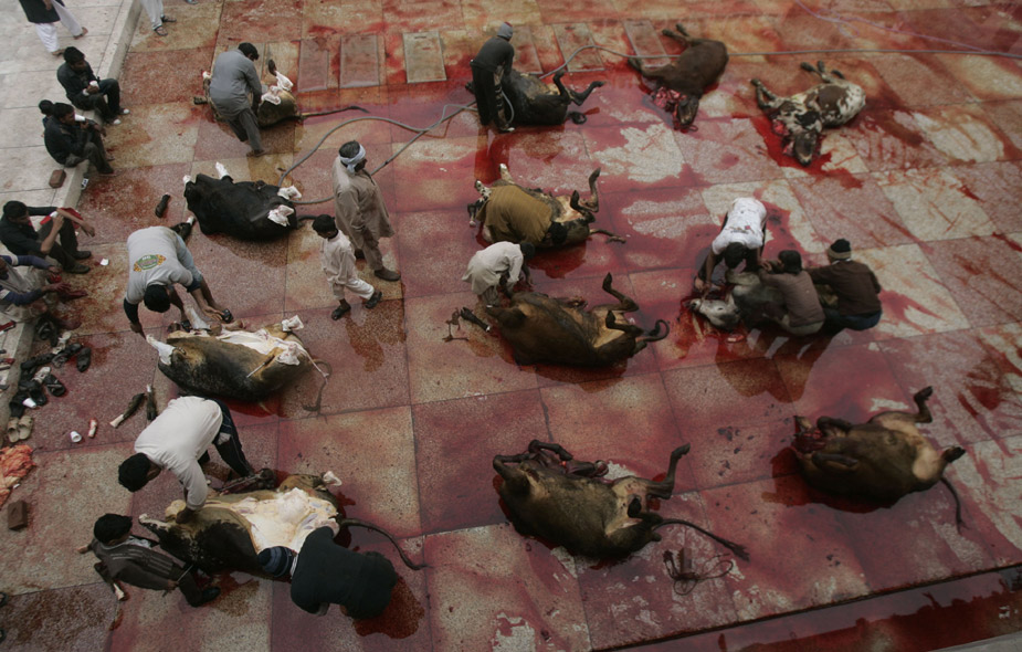 高清图:世界各地穆斯林迎来宰牲节