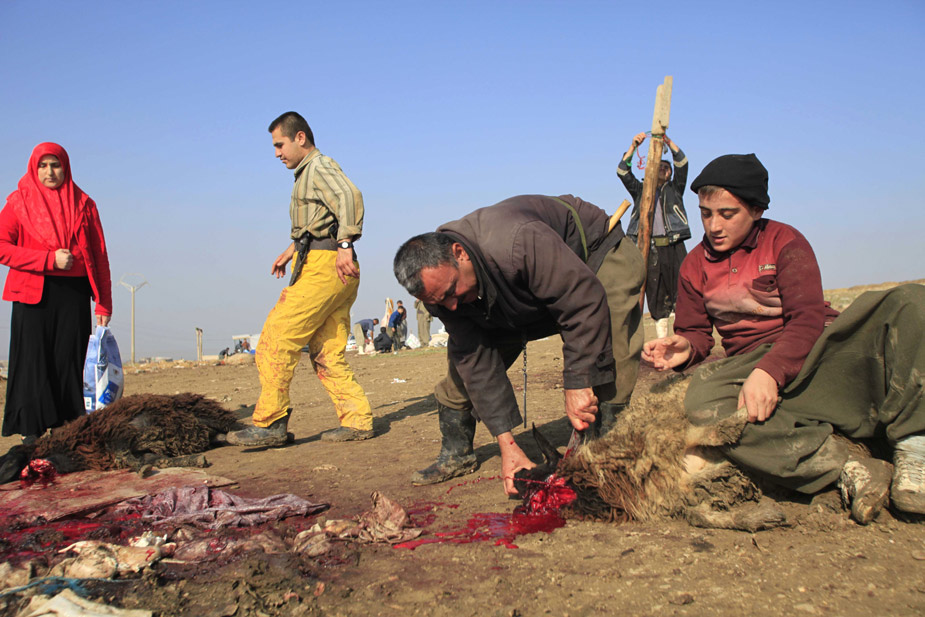 图为伊拉克的穆斯林在宰牲节上宰杀牲畜.