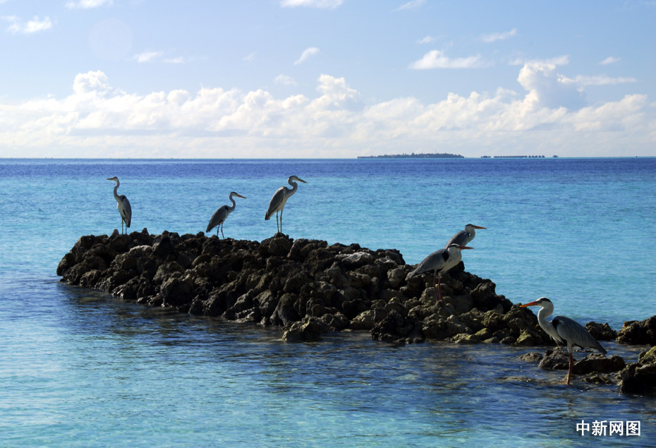马尔代夫——印度洋深处的美丽天堂