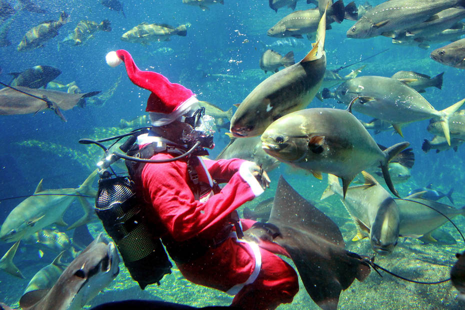 2009年圣诞节的钟声敲响,世界各地的"圣诞老人"架着