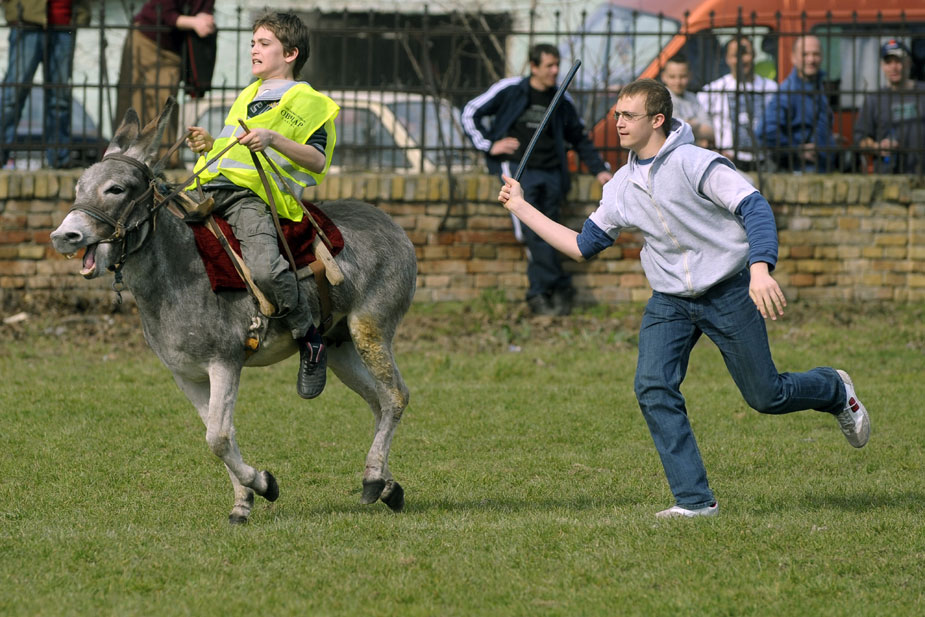 3月20日,在塞尔维亚首都贝尔格莱德西北30公里的一个