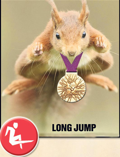 动物王国的奥运冠军们