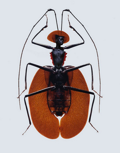 人头虫身 惊爆眼球的另类唯美