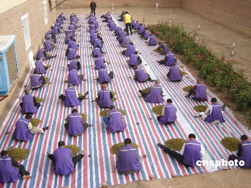 图新疆吐鲁番市看守所为在押人员开展劳动竞赛