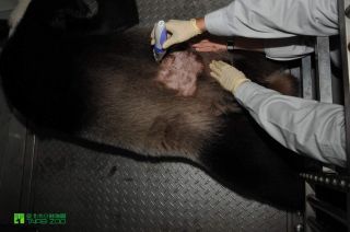 ��̨����è��ԲԲ���˹��ܾ�36�� ��ʼ���ڼ��